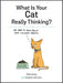 What Is Your Cat Really Thinking?