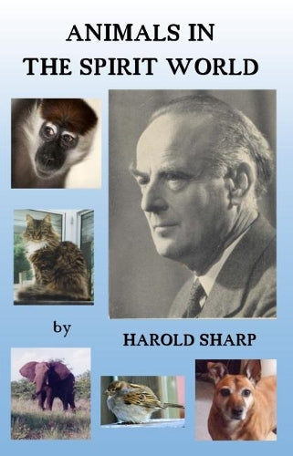 Animals in the Spirit World