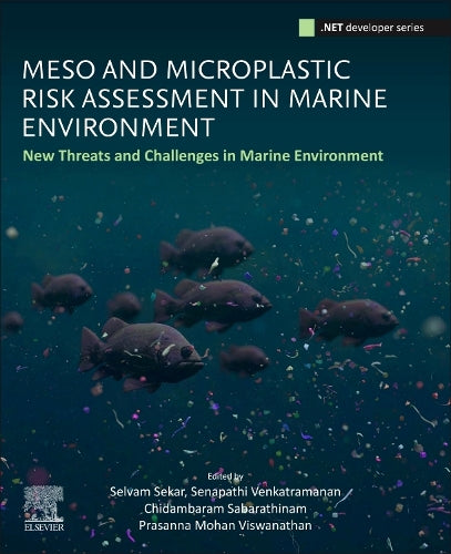 Meso and Microplastic Risk Assessment in Marine Environments