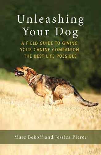 Unleashing Your Dog