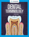 Dental Terminology