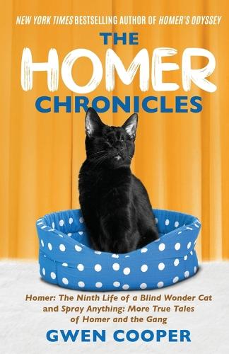 The Homer Chronicles