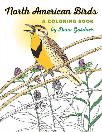 North American Birds