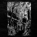 Live at Roadburn 2017