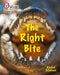 The Right Bite