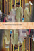 The New Screen Ecology in India