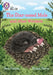 Star-nosed Mole