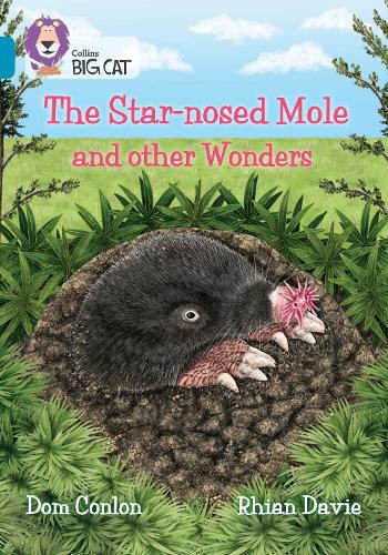 Star-nosed Mole