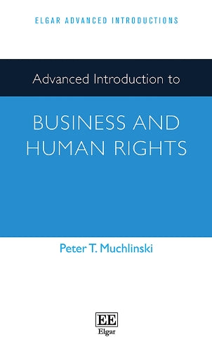 Advanced Introduction to Business and Human Rights