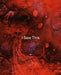 Tom de Freston – I Saw This
