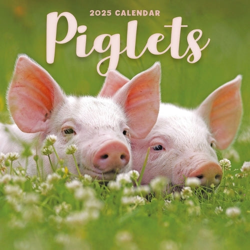 2025 Piglets Mini
