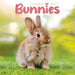 2025 Bunnies Mini