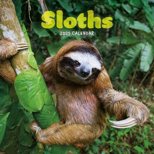 2025 Sloths Mini Calendar