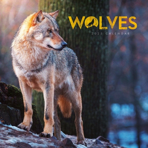 2025 Wolves Mini Calendar