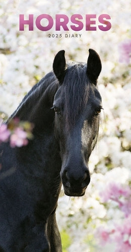 2025 Horses Slim Diary Planner