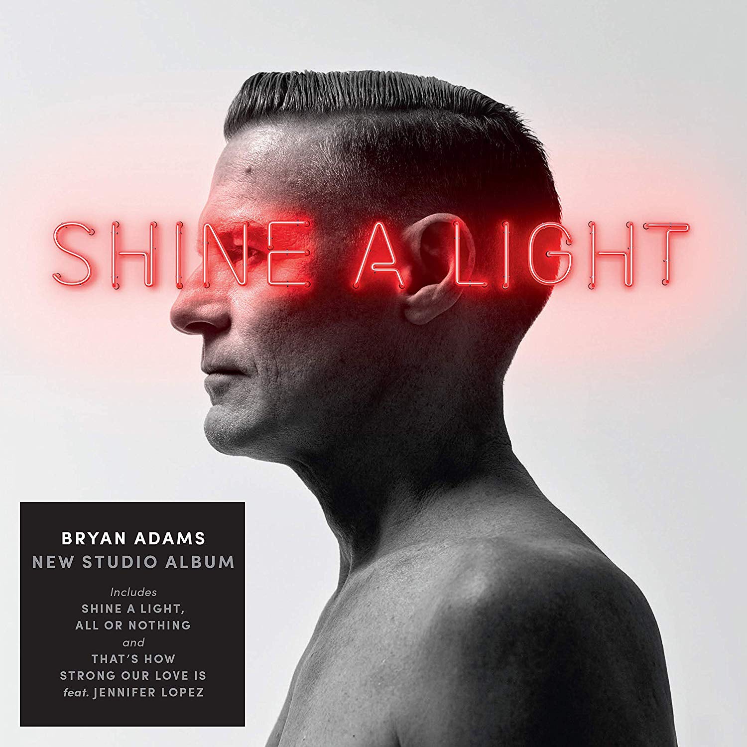 Shine a Light