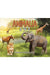 Animalia: A to Z