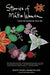Stories of Métis Women