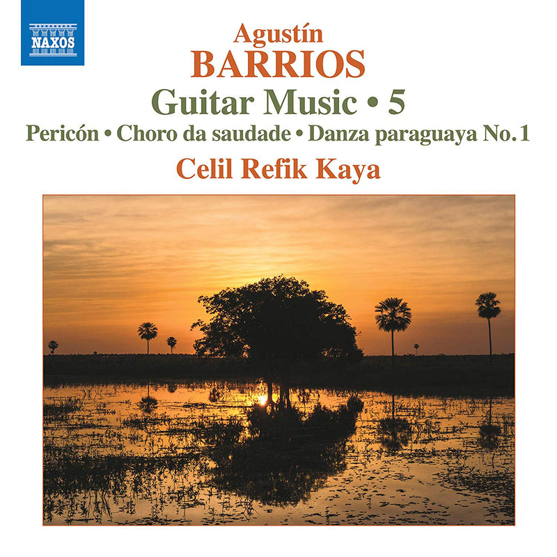 Agustín Barrios: Guitar Music/Pericón/Choro Da Saudade - Volume 5
