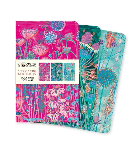 Lucy Innes Williams Set of 3 Mini Notebooks (Mini Notebook Collections