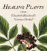 Healing Plants