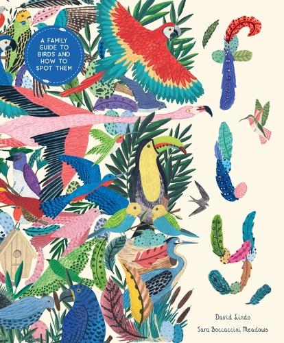 Fly: A Family Guide to Birds and How to Spot Them (In Our Nature