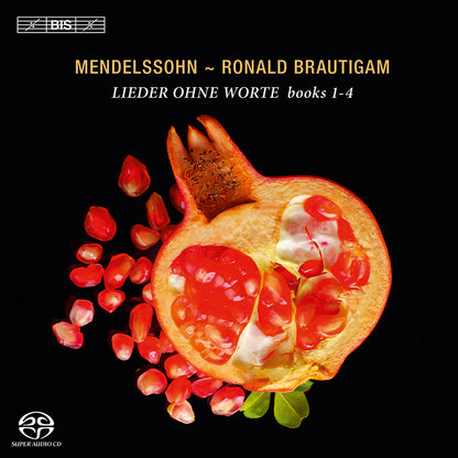 Mendelssohn/Ronald Brautigam: Lieder Ohne Worte Books 1-4