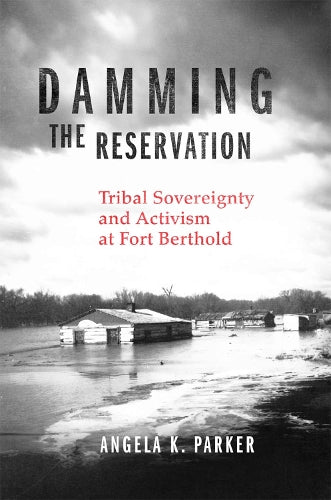 Damming the Reservation: Tribal Sovereignty and Activism at Fort Berthold (Volume 23) (New Directions in Native American Studies Series