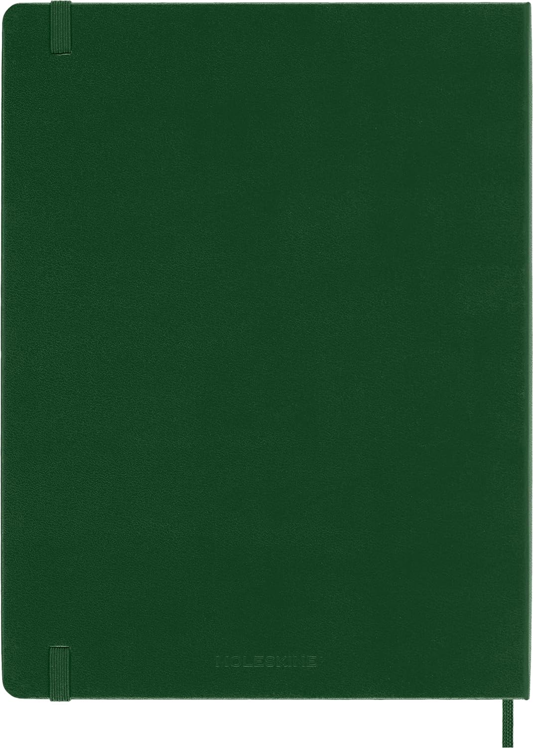 Moleskine Classic Ruled Paper Notebook, Hard Cover and Elastic Closure Journal, Color Myrtle Green, Size Extra Large 19 x 25 cm, 192 Pages