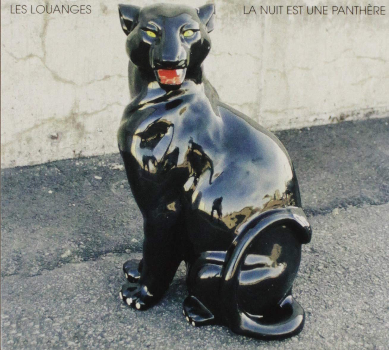 La Nuit Est Une Panthere