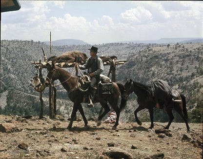Lawman