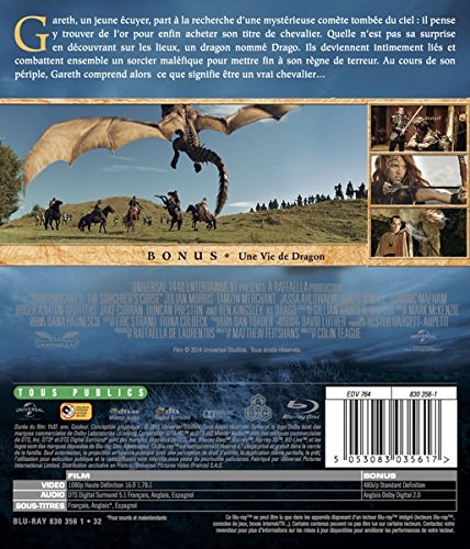 Coeur de dragon 3 : la malédiction du sorcier