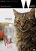 Kedi - La Citta' Dei Gatti (1 DVD