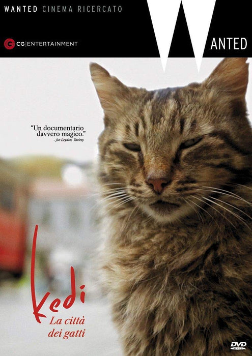 Kedi - La Citta' Dei Gatti (1 DVD