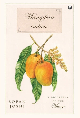 Mangifera indica