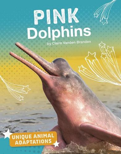 Unique Animal Adaptations Pink Dolphins
