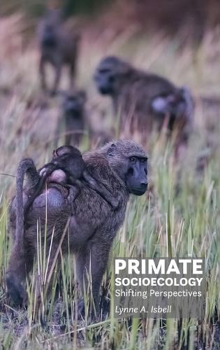 Primate Socioecology