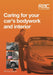 Caring for Your Car’s Bodywork and Interior