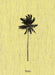 Decoding Palm Culture