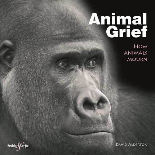 Animal Grief