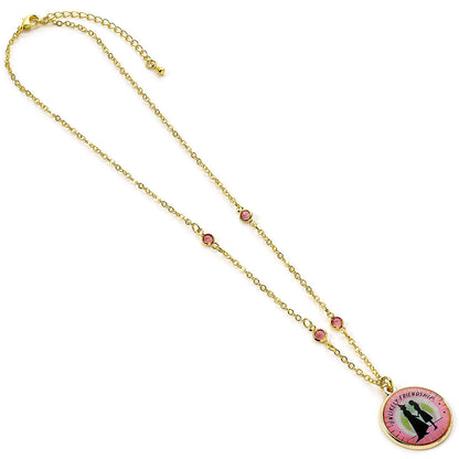 Unlikely Friendship Necklace