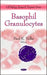 Basophil Granulocytes