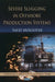 Severe Slugging in Offshore Production Systems