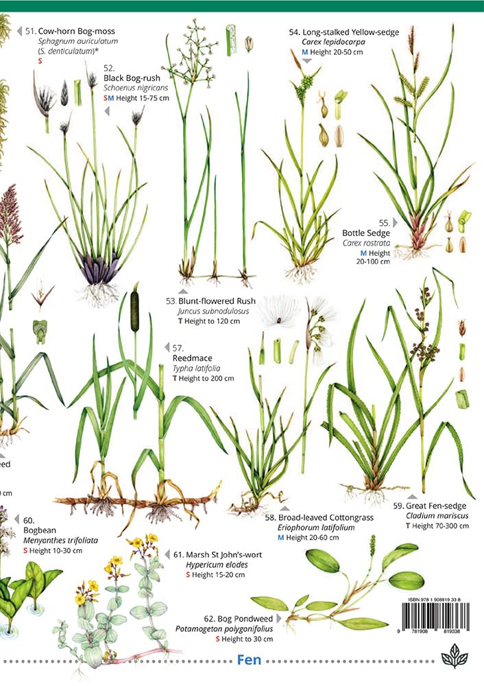 Plant Identification for Phase 1 Habitat Survey: Heaths and Mires (WildID