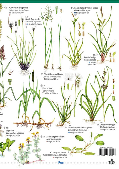 Plant Identification for Phase 1 Habitat Survey: Heaths and Mires (WildID