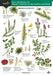 Plant Identification for Phase 1 Habitat Survey: Heaths and Mires (WildID