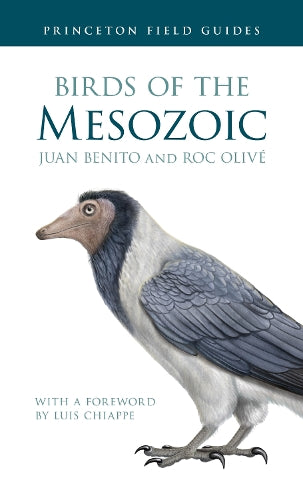 Birds of the Mesozoic: 164 (Princeton Field Guides