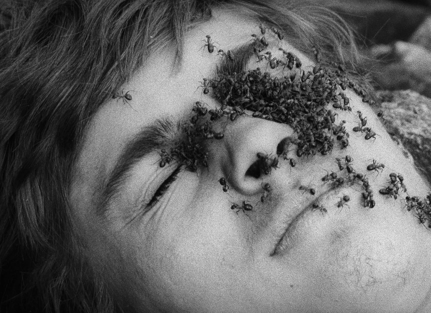 Diamonds of the Night (The Criterion Collection)