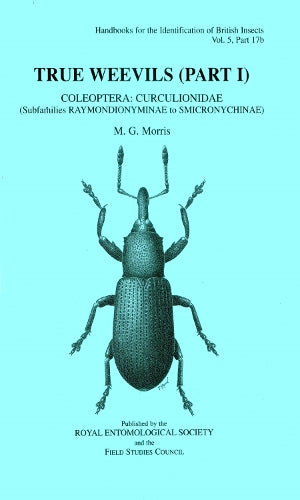 True Weevils (Part I)