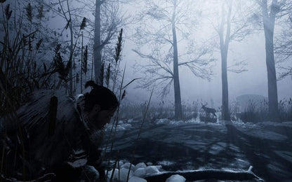 Fade To Silence (PS4